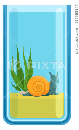 Snail in glass aquarium. Cartoon animal on decorative sand Snail in glass aquarium. Cartoon animal on decorative sand 136365143
