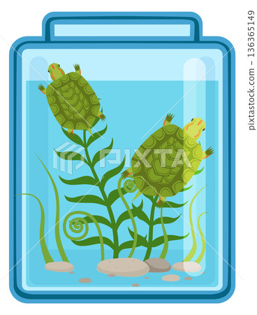 Marine turtles swim in glass jar. Cartoon pet 136365149