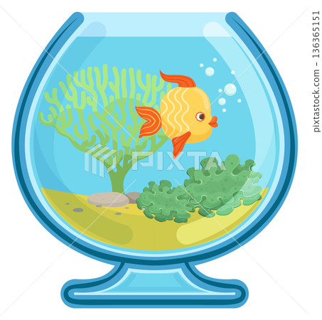 Golden fish in glass fish bowl. Cartoon pet icon 136365151