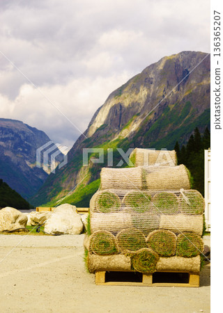 Stacks of sod rolls for new lawn 136365207