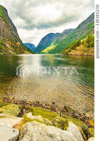 View on fjord Sognefjord, Gudvangen Norway View on fjord Sognefjord, Gudvangen Norway 136365230