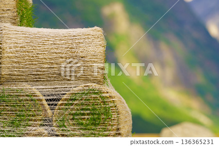 Stacks of sod rolls for new lawn Stacks of sod rolls for new lawn 136365231