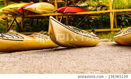 Kayaks on water shore. Rental area 136365239