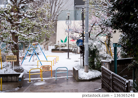 【大田區】清晨，公園裡白雪皚皚 136365248