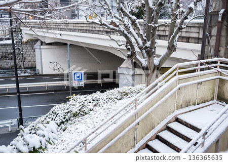 [Ota Ward] Magome Station A1 Exit in the early morning with snow piled up 136365635