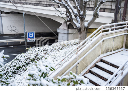 【大田區】清晨，馬籠宿站A1出口積雪覆蓋 136365637