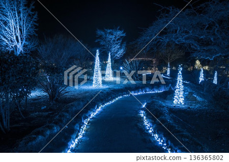 花卉公園照明 136365802