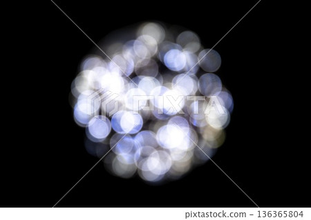 花卉公園照明 136365804