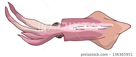 Seafood cartoon icon. Raw squid. Natural food Seafood cartoon icon. Raw squid. Natural food 136365951