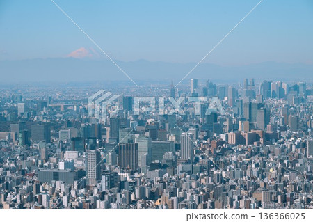 從晴空塔拍攝的東京城市景觀 136366025