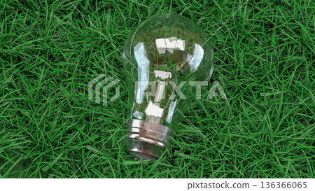 Eco Friendly Energy Light Bulb on Green Grass 3d render. Eco Friendly Energy Light Bulb on Green Grass 3d render. 136366065