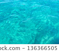 Crystal-clear blue waters of the Tyrrhenian Sea along the coast of Calabria, southern Italy. The tranquil Mediterranean vibrant turquoise hues, natural light, and a serene summer atmosphere, evoking 136366505