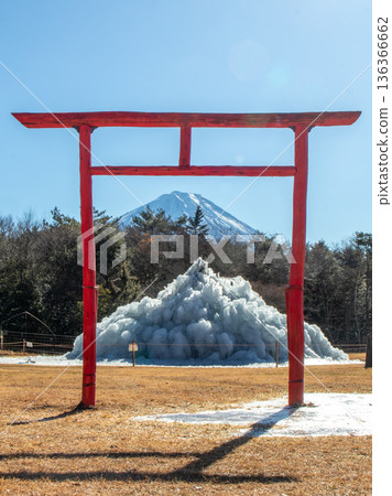 Lake Saiko Kori Wild Bird Forest Park 136366662