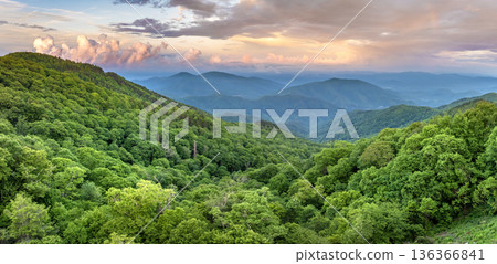 Morning forest in North Carolina Appalachian mountains, USA. American nature in summer season Morning forest in North Carolina Appalachian mountains, USA. American nature in summer season 136366841