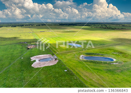 Green farmland landscape in summer season with growing crops. Agricultural cultivated field. Farming and agriculture industry Green farmland landscape in summer season with growing crops. Agricultural cultivated field. Farming and agriculture industry 136366843