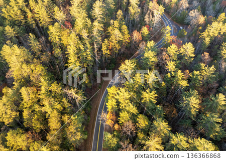 Vibrant autumn landscape in North Carolina mountains. Fall colors stretch across hillsides along quiet mountain road Vibrant autumn landscape in North Carolina mountains. Fall colors stretch across hillsides along quiet mountain road 136366868