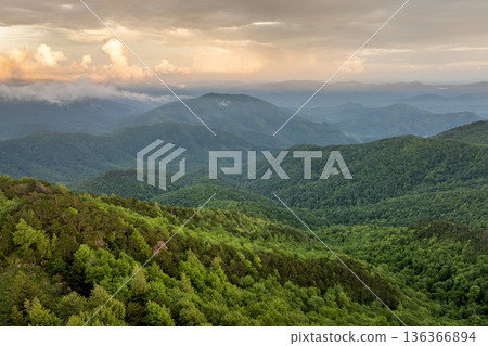 Summer woods of Appalachian mountains with green canopies in colorful forest at sunset. Wild nature in summertime season 136366894
