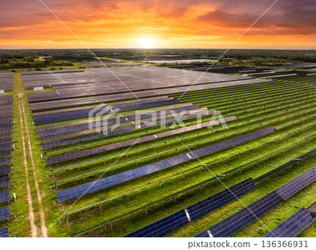 Aerial view of big sustainable electric power plant with many rows of solar photovoltaic panels for producing clean electrical energy. Renewable electricity with zero emission concept Aerial view of big sustainable electric power plant with many rows of solar photovoltaic panels for producing clean electrical energy. Renewable electricity with zero emission concept 136366931