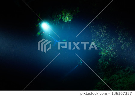 Divers swimming through underwater caves, Palau, diving scene 136367337