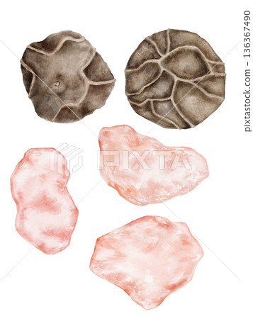 Watercolor hand drawn elements set with pink Himalayan salt crystals and black pepper pods on white background. Ideal for recipe cards, herb packaging, food labels, or kitchen graphics Watercolor hand drawn elements set with pink Himalayan salt crystals and black pepper pods on white background. Ideal for recipe cards, herb packaging, food labels, or kitchen graphics 136367490