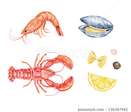 Watercolor seafood collection with shrimp, lobster, mussel, lemon slice, pasta, and peppercorn. Ideal for restaurant menus, culinary posters, packaging, or seafood festival graphic projects. 136367492