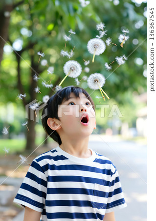 使用用蒲公英的男嬰 136367545