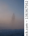 Winter Morning Tree 136367562