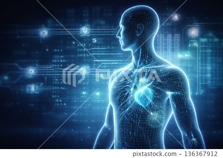 AI generated digital human wireframe anatomy with glowing heart and circulation data representing digital healthcare medical technology diagnostics and future health analysis 136367912