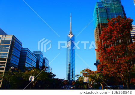 Momochihama, Sawara Ward, Fukuoka Prefecture, blue sky and Fukuoka Tower_16 Momochihama, Sawara Ward, Fukuoka Prefecture, blue sky and Fukuoka Tower_16 136368848