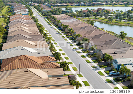 Premium housing development in the USA. Expensive houses between green palm trees in southwest Florida Premium housing development in the USA. Expensive houses between green palm trees in southwest Florida 136369519