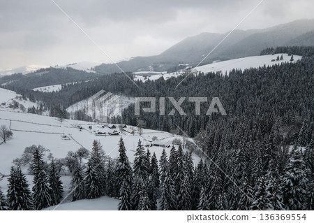 Aerial winter landscape with small rural houses between snow covered forest in cold mountains. 136369554