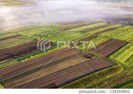 Agricultural landscape from air on sunny spring dawn. Green and brown fields, morning fog. Agricultural landscape from air on sunny spring dawn. Green and brown fields, morning fog. 136369602