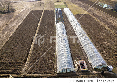 Aerial view of long arched greenhouses covered with polyethylene in plowed spring field. Agriculture and farming. 136369646