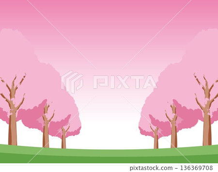 櫻花春季背景插圖 136369708