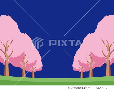 Cherry blossom spring background illustration Cherry blossom spring background illustration 136369720