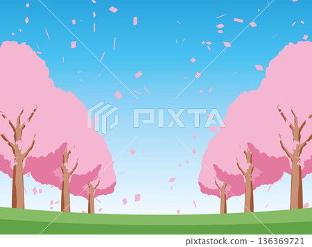Cherry blossom spring background illustration Cherry blossom spring background illustration 136369721