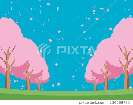 Cherry blossom spring background illustration Cherry blossom spring background illustration 136369723