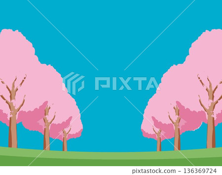 Cherry blossom spring background illustration Cherry blossom spring background illustration 136369724