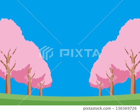 Cherry blossom spring background illustration Cherry blossom spring background illustration 136369726