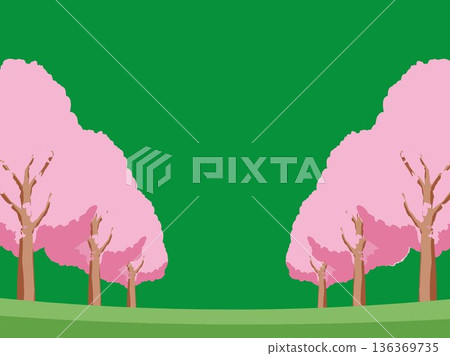 Cherry blossom spring background illustration Cherry blossom spring background illustration 136369735