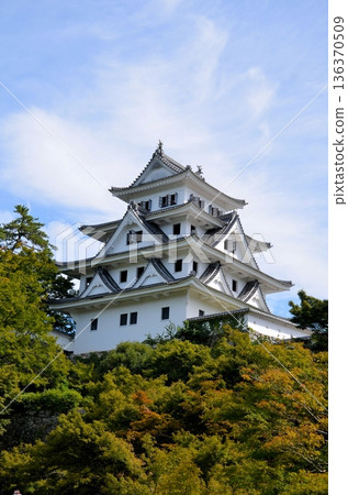 Gujo Hachiman城堡城堡塔 Gujo Hachiman城堡城堡塔 136370509