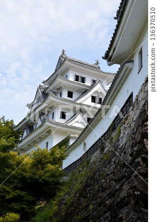 Gujo Hachiman城堡城堡塔 136370510