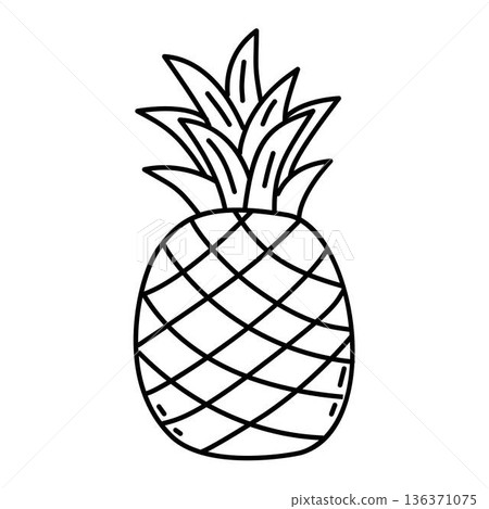 Pineapple fruit line art, Simple pineapple fruit line art icon illustration 136371075