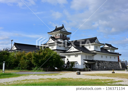 Toyama castle Toyama castle 136371134