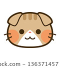 Cute Scottish Fold face icon 136371457