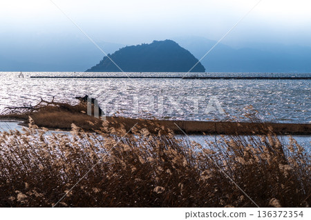 在滋賀縣長濱市港北町小上拍攝冬季黃昏的水下森林 136372354