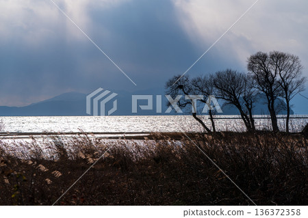Photographing a submerged forest at dusk in winter in Onoue, Kohoku-cho, Nagahama City, Shiga Prefecture Photographing a submerged forest at dusk in winter in Onoue, Kohoku-cho, Nagahama City, Shiga Prefecture 136372358
