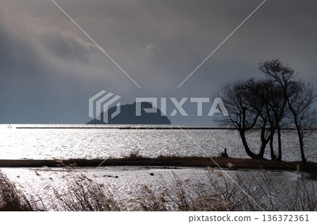 Photographing a submerged forest at dusk in winter in Onoue, Kohoku-cho, Nagahama City, Shiga Prefecture Photographing a submerged forest at dusk in winter in Onoue, Kohoku-cho, Nagahama City, Shiga Prefecture 136372361