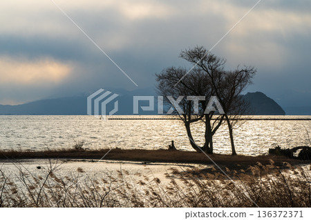 Photographing a submerged forest at dusk in winter in Onoue, Kohoku-cho, Nagahama City, Shiga Prefecture 136372371