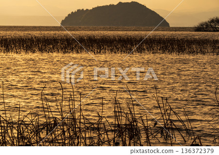 在滋賀縣長濱市港北町小上拍攝冬季黃昏的水下森林 136372379